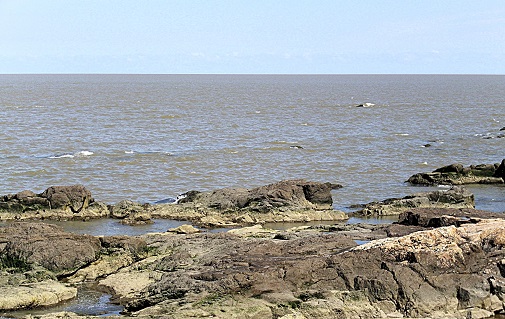Am Ufer des Rio de La Plata. Foto E. Haerter
