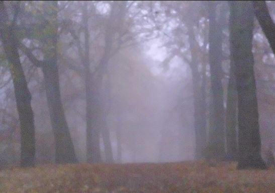 Wall im November. Foto E. Härter