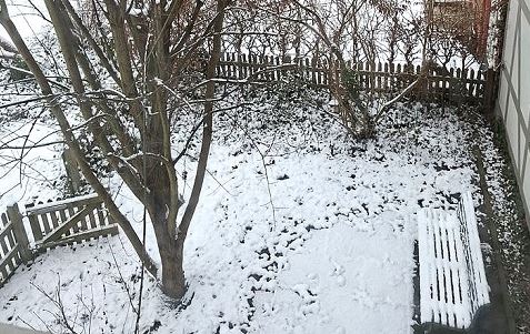 Winter. Foto E. Haerter